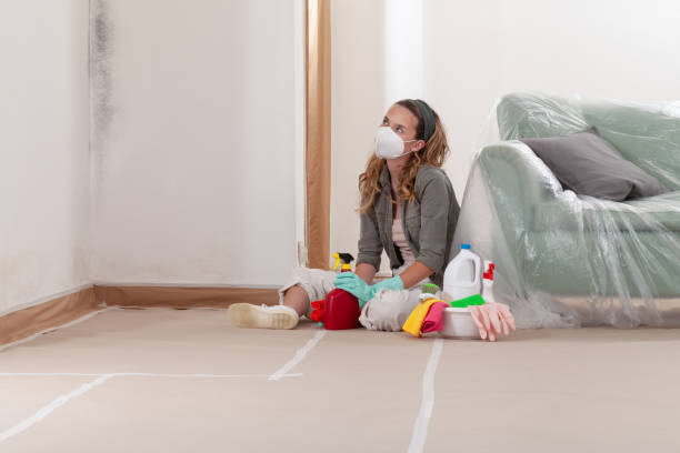 Reliable Black Mold Removal contractor in Sterling, CO by WQB Mold Removal